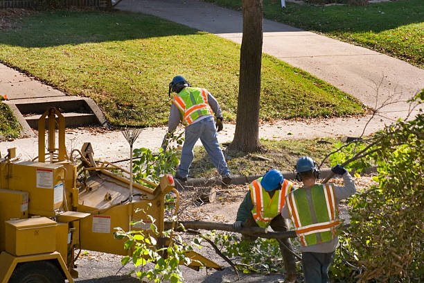 Best Hazardous Tree Removal  in Great Neck Estates, NY